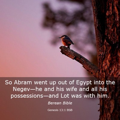 Picture 03 - Genesis 13:1 BSB - So Abram went up out of Egypt into the Negev—he - Bible Verse Picture