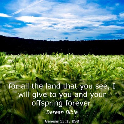 Picture 03 - Genesis 13:15 BSB - for all the land that you see, I will give to you - Bible Verse Picture