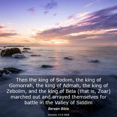 Picture 03 - Genesis 14:8 BSB - Then the king of Sodom, the king of Gomorrah, the - Bible Verse Picture