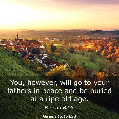 Picture 03 - Genesis 15:15 BSB - You, however, will go to your fathers in peace - Bible Verse Picture