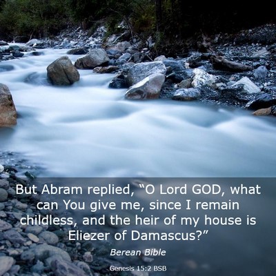 Picture 03 - Genesis 15:2 BSB - But Abram replied, “O Lord GOD, what can You - Bible Verse Picture
