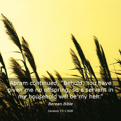 Picture 03 - Genesis 15:3 BSB - Abram continued, “Behold, You have given me no - Bible Verse Picture