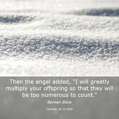 Picture 03 - Genesis 16:10 BSB - Then the angel added, “I will greatly multiply - Bible Verse Picture
