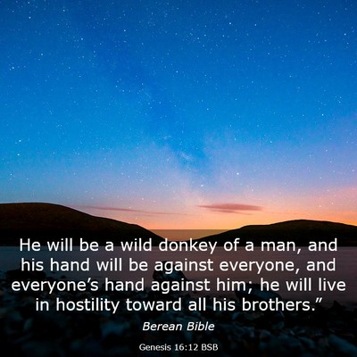 Picture 03 - Genesis 16:12 BSB - He will be a wild donkey of a man, and his hand - Bible Verse Picture