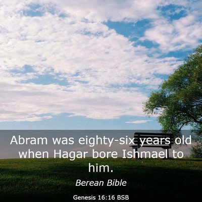 Picture 03 - Genesis 16:16 BSB - Abram was eighty-six years old when Hagar bore - Bible Verse Picture