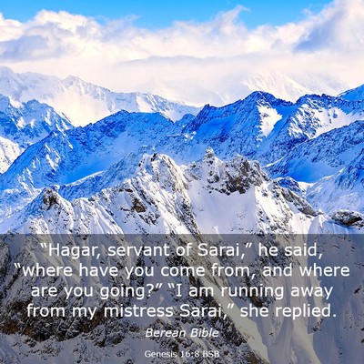 Picture 03 - Genesis 16:8 BSB - “Hagar, servant of Sarai,” he said, “where - Bible Verse Picture