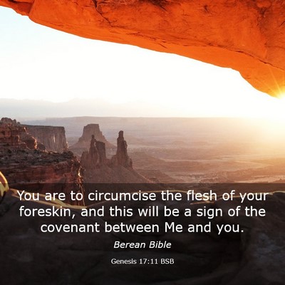 Picture 03 - Genesis 17:11 BSB - You are to circumcise the flesh of your foreskin, - Bible Verse Picture