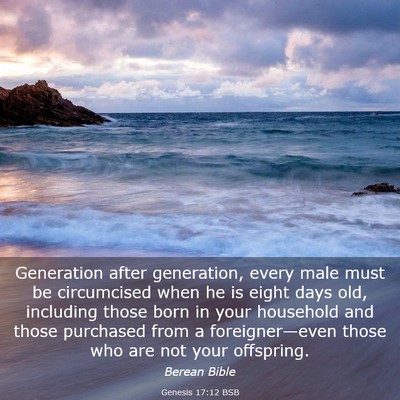 Picture 03 - Genesis 17:12 BSB - Generation after generation, every male must be - Bible Verse Picture