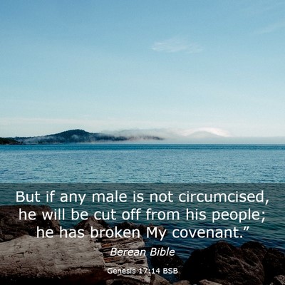 Picture 03 - Genesis 17:14 BSB - But if any male is not circumcised, he will be - Bible Verse Picture