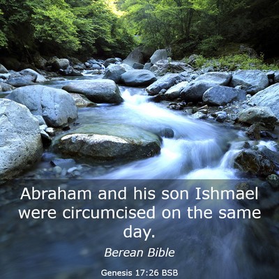 Picture 03 - Genesis 17:26 BSB - Abraham and his son Ishmael were circumcised on - Bible Verse Picture