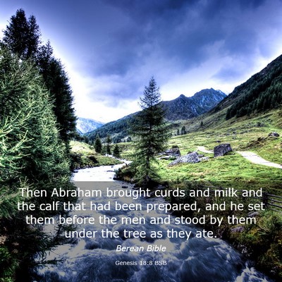 Picture 03 - Genesis 18:8 BSB - Then Abraham brought curds and milk and the calf - Bible Verse Picture