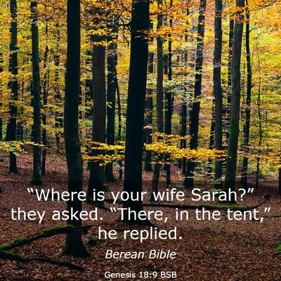 Picture 03 - Genesis 18:9 BSB - “Where is your wife Sarah?” they asked. - Bible Verse Picture