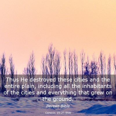 Picture 03 - Genesis 19:25 BSB - Thus He destroyed these cities and the entire - Bible Verse Picture