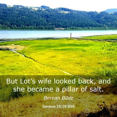 Picture 03 - Genesis 19:26 BSB - But Lot’s wife looked back, and she became a - Bible Verse Picture