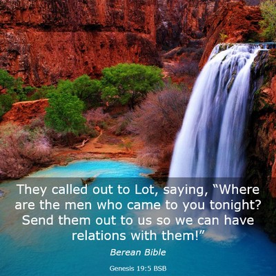 Picture 03 - Genesis 19:5 BSB - They called out to Lot, saying, “Where are the - Bible Verse Picture
