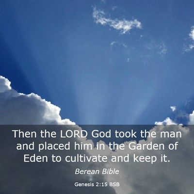 Picture 03 - Genesis 2:15 BSB - Then the LORD God took the man and placed him in - Bible Verse Picture