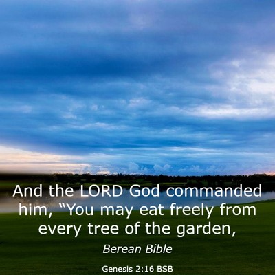 Picture 03 - Genesis 2:16 BSB - And the LORD God commanded him, “You may eat - Bible Verse Picture