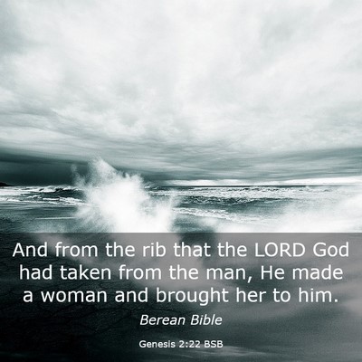 Picture 03 - Genesis 2:22 BSB - And from the rib that the LORD God had taken from - Bible Verse Picture