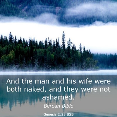 Picture 03 - Genesis 2:25 BSB - And the man and his wife were both naked, and - Bible Verse Picture