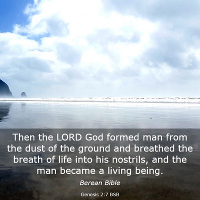 Picture 03 - Genesis 2:7 BSB - Then the LORD God formed man from the dust of the - Bible Verse Picture