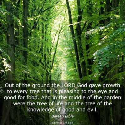 Picture 03 - Genesis 2:9 BSB - Out of the ground the LORD God gave growth to - Bible Verse Picture