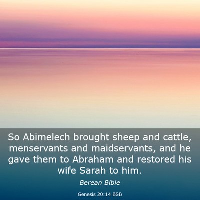 Picture 03 - Genesis 20:14 BSB - So Abimelech brought sheep and cattle, - Bible Verse Picture