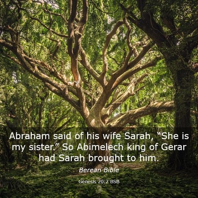Picture 03 - Genesis 20:2 BSB - Abraham said of his wife Sarah, “She is my - Bible Verse Picture