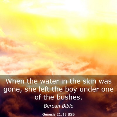 Picture 03 - Genesis 21:15 BSB - When the water in the skin was gone, she left the - Bible Verse Picture