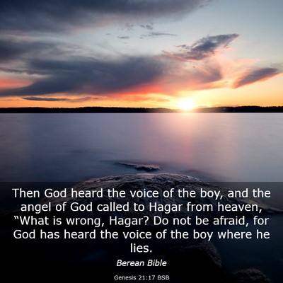 Picture 03 - Genesis 21:17 BSB - Then God heard the voice of the boy, and the - Bible Verse Picture