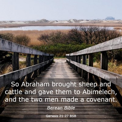 Picture 03 - Genesis 21:27 BSB - So Abraham brought sheep and cattle and gave them - Bible Verse Picture