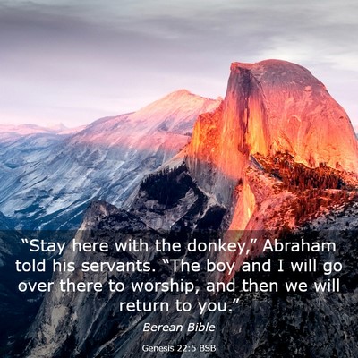 Picture 03 - Genesis 22:5 BSB - “Stay here with the donkey,” Abraham told his - Bible Verse Picture