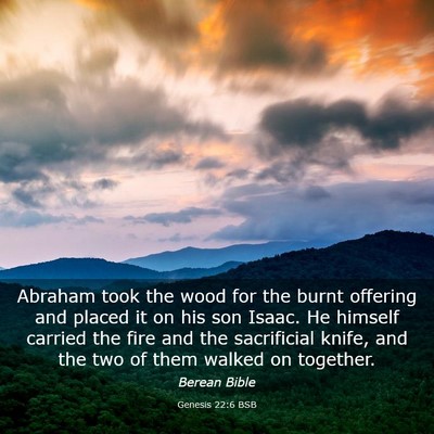 Picture 03 - Genesis 22:6 BSB - Abraham took the wood for the burnt offering and - Bible Verse Picture