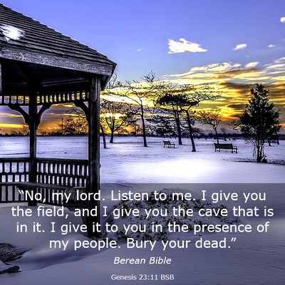 Picture 03 - Genesis 23:11 BSB - “No, my lord. Listen to me. I give you the - Bible Verse Picture