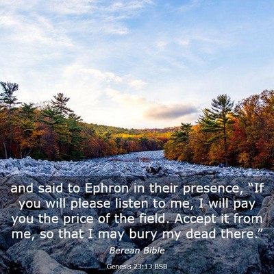 Picture 03 - Genesis 23:13 BSB - and said to Ephron in their presence, “If you - Bible Verse Picture