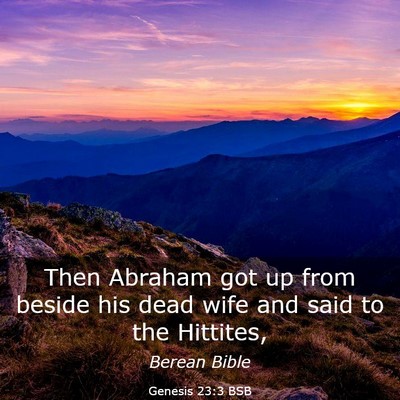Picture 03 - Genesis 23:3 BSB - Then Abraham got up from beside his dead wife and - Bible Verse Picture