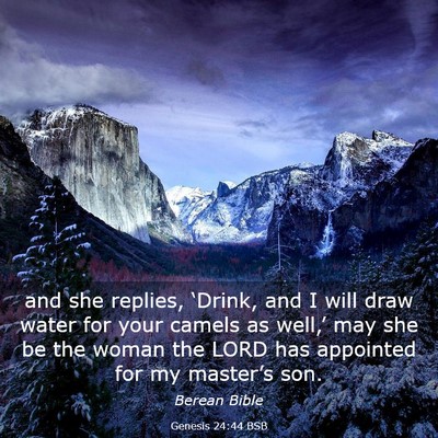 Picture 03 - Genesis 24:44 BSB - and she replies, ‘Drink, and I will draw water - Bible Verse Picture