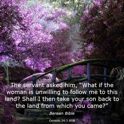Picture 03 - Genesis 24:5 BSB - The servant asked him, “What if the woman is - Bible Verse Picture