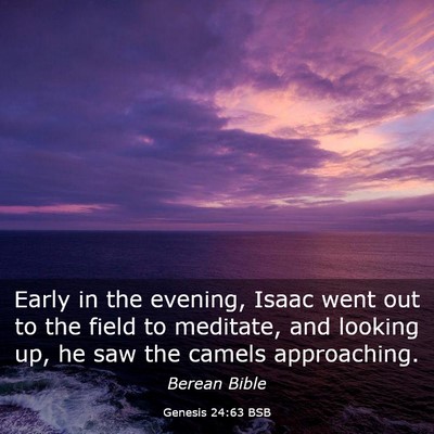 Picture 03 - Genesis 24:63 BSB - Early in the evening, Isaac went out to the field - Bible Verse Picture