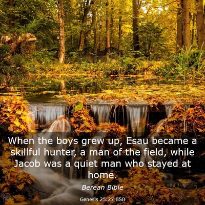 Picture 03 - Genesis 25:27 BSB - When the boys grew up, Esau became a skillful - Bible Verse Picture