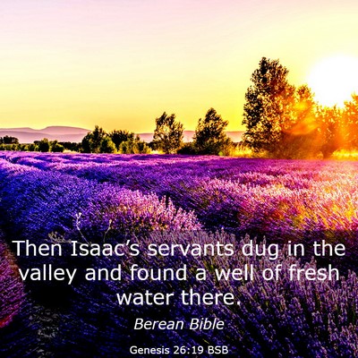 Picture 03 - Genesis 26:19 BSB - Then Isaac’s servants dug in the valley and - Bible Verse Picture