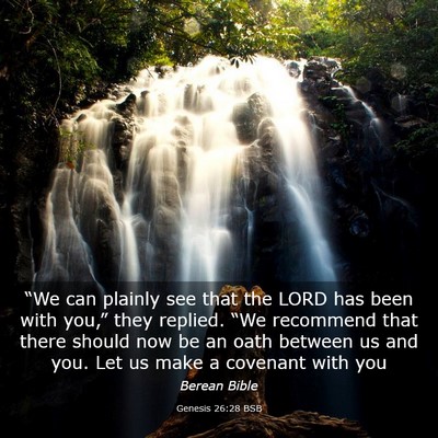 Picture 03 - Genesis 26:28 BSB - “We can plainly see that the LORD has been with - Bible Verse Picture