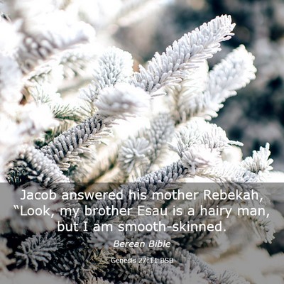 Picture 03 - Genesis 27:11 BSB - Jacob answered his mother Rebekah, “Look, my - Bible Verse Picture