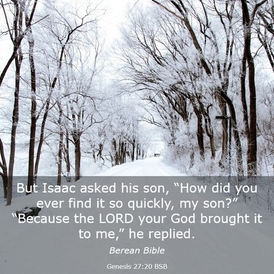 Picture 03 - Genesis 27:20 BSB - But Isaac asked his son, “How did you ever find - Bible Verse Picture