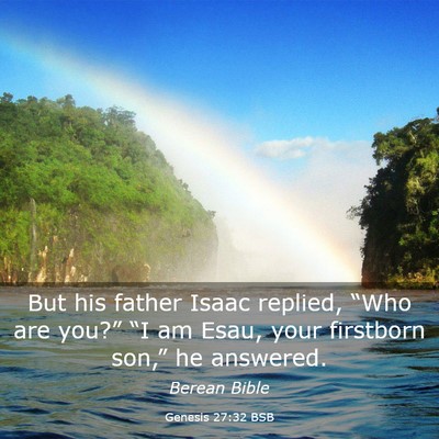 Picture 03 - Genesis 27:32 BSB - But his father Isaac replied, “Who are you?” - Bible Verse Picture