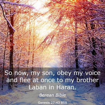 Picture 03 - Genesis 27:43 BSB - So now, my son, obey my voice and flee at once to - Bible Verse Picture
