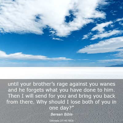 Picture 03 - Genesis 27:45 BSB - until your brother’s rage against you wanes and - Bible Verse Picture