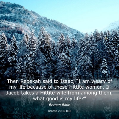 Picture 03 - Genesis 27:46 BSB - Then Rebekah said to Isaac, “I am weary of my - Bible Verse Picture