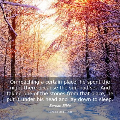 Picture 03 - Genesis 28:11 BSB - On reaching a certain place, he spent the night - Bible Verse Picture