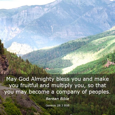 Picture 03 - Genesis 28:3 BSB - May God Almighty bless you and make you fruitful - Bible Verse Picture