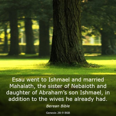 Picture 03 - Genesis 28:9 BSB - Esau went to Ishmael and married Mahalath, the - Bible Verse Picture